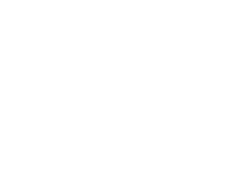 seawithin_footer-logo